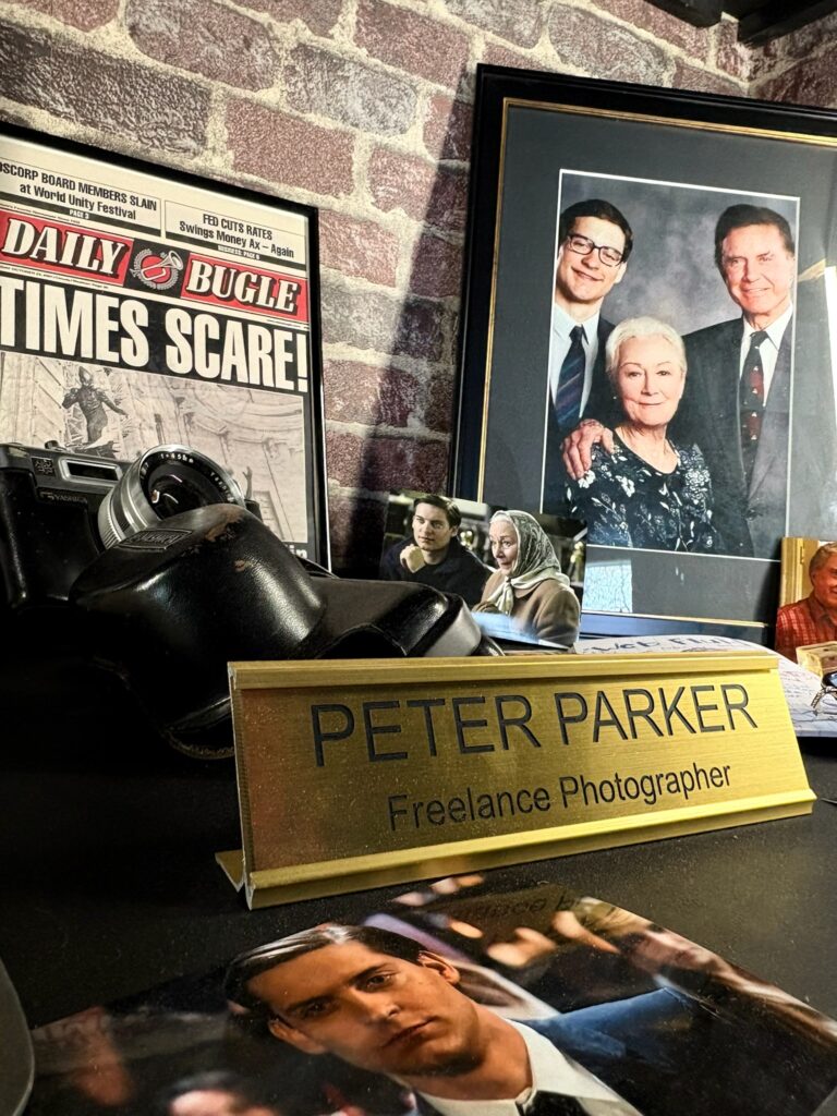 spider-room Logement Insolite et immersif