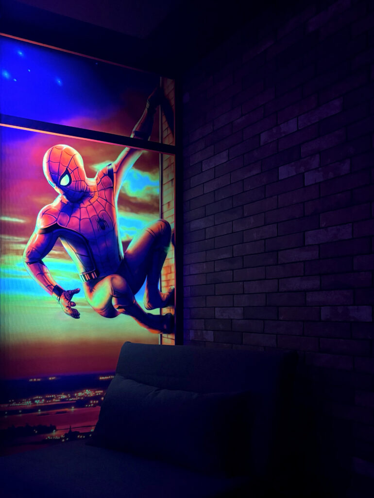 spider-room Logement Insolite et immersif