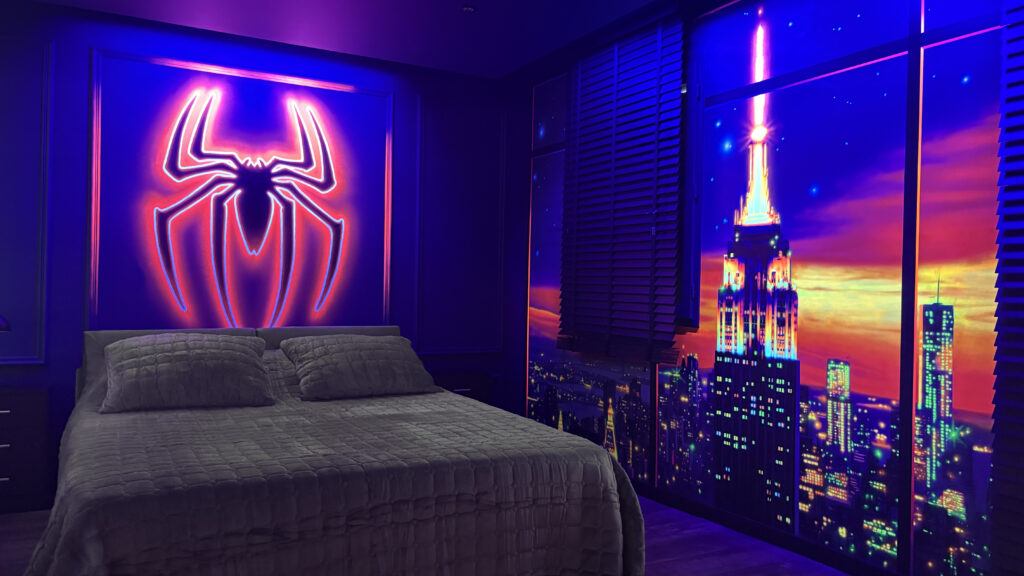 spider-room Logement Insolite et immersif