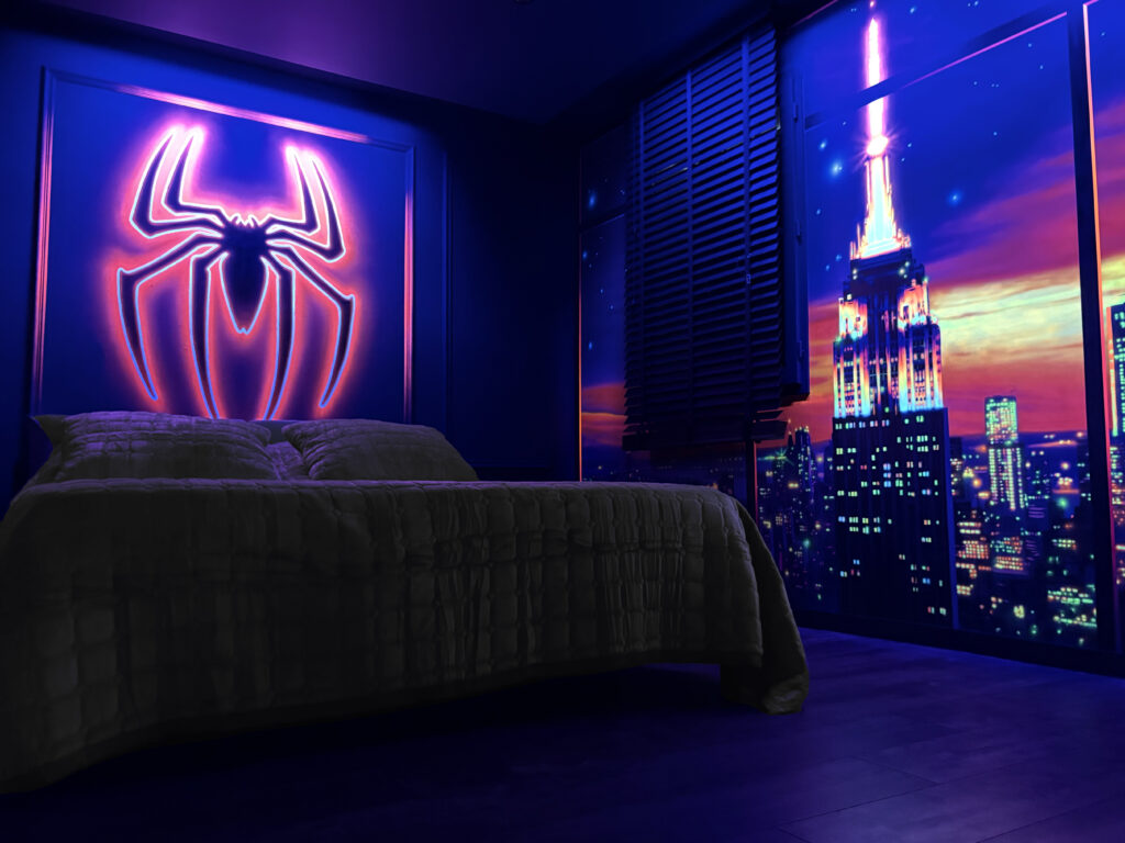 spider-room Logement Insolite et immersif