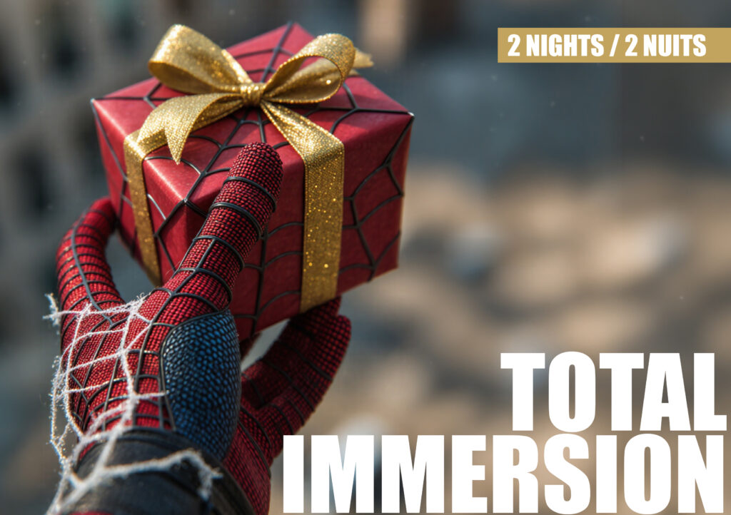 Carte cadeau séjour insolite Disneyland Paris